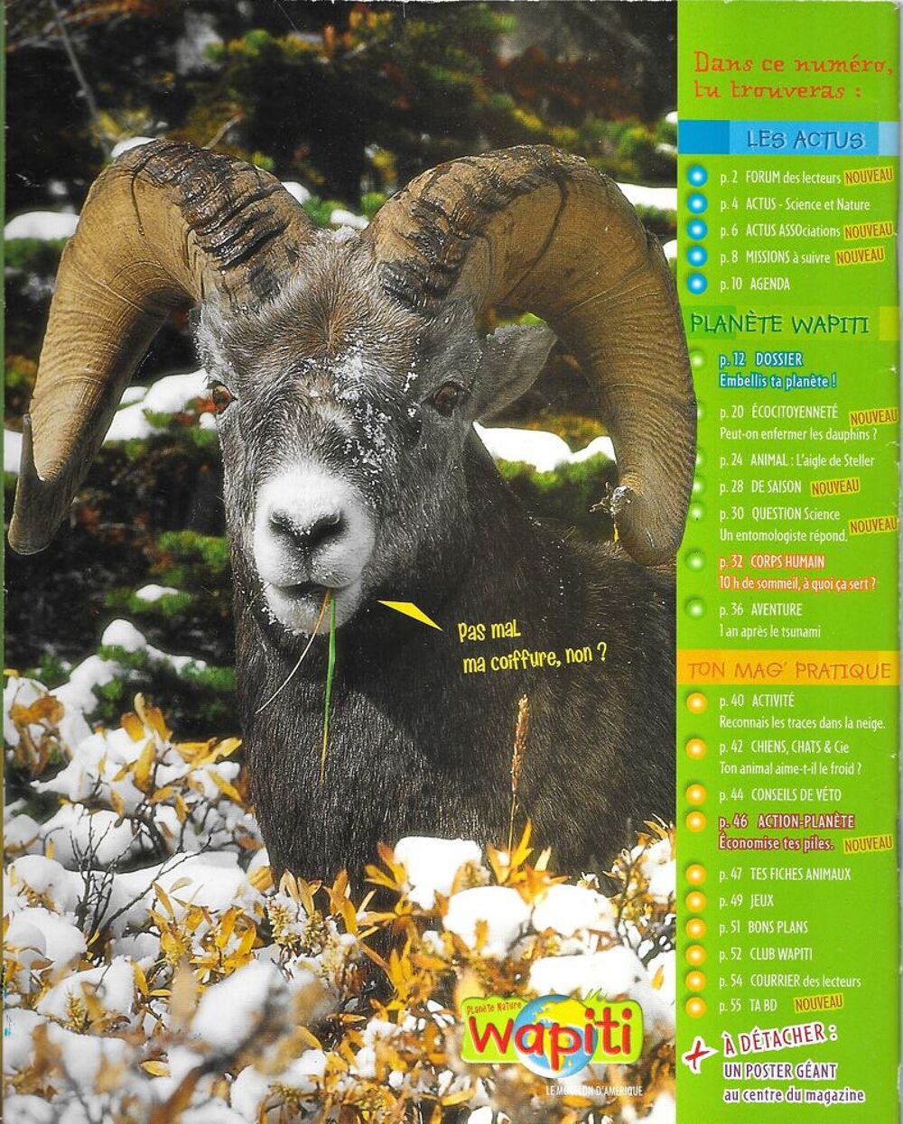  Magazine , Wapiti , de 7 &agrave; 13 ans Livres et BD