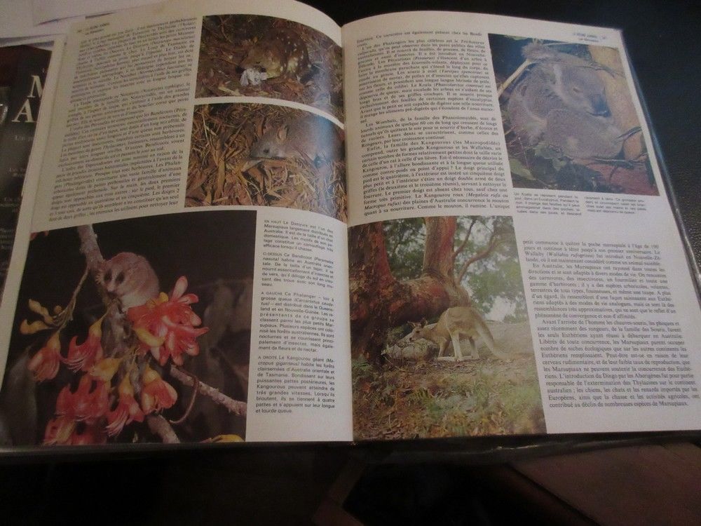 Encyclop&eacute;die du monde animal Livres et BD