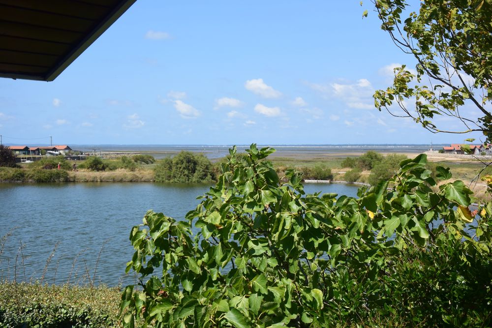 Vente Maison Rare, Maison T4 Port de Larros, avec vue sur le bassin Gujan-mestras