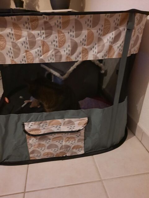 grand parc pour chaton ou chiot 35 31140 Aucamville