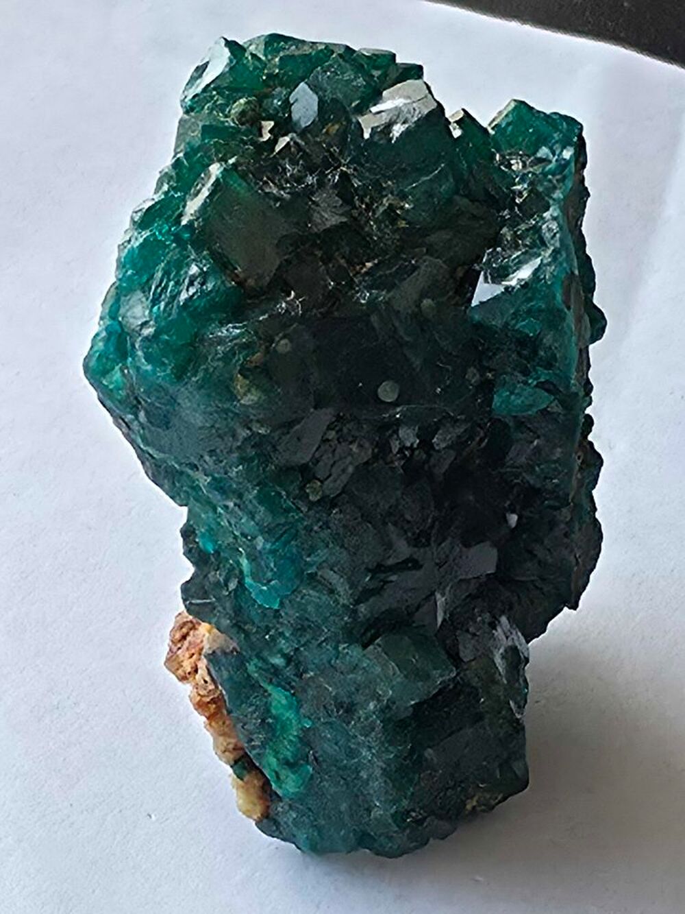 Min&eacute;ral d'exception : Dioptase brute sur sa roche matrice-RDC 