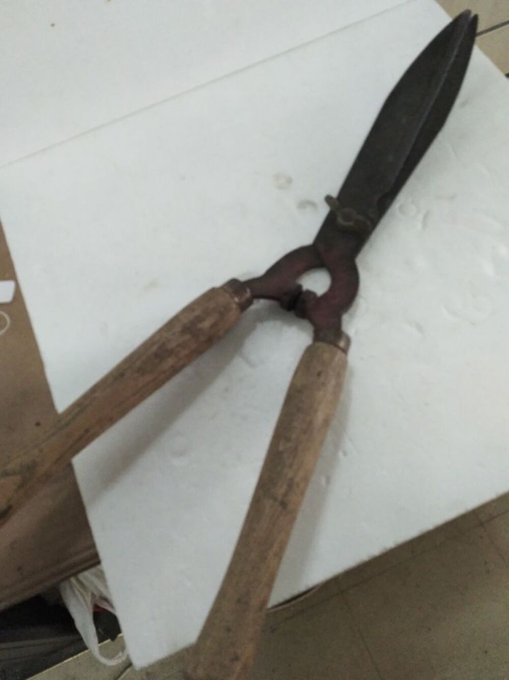Taille haies manuel Bricolage