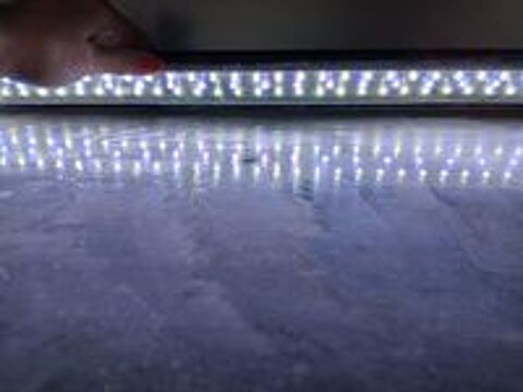   Pour cause de dmnagement nous vendons notre aquarium 600l  