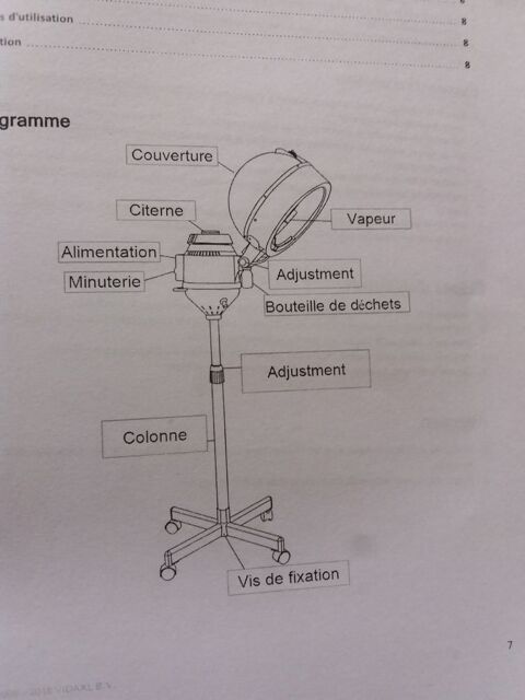 sche cheveux sur  pied 60 Les Peintures (33)