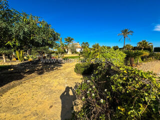  Villa � vendre 5 pi�ces 350 m� Orihuela