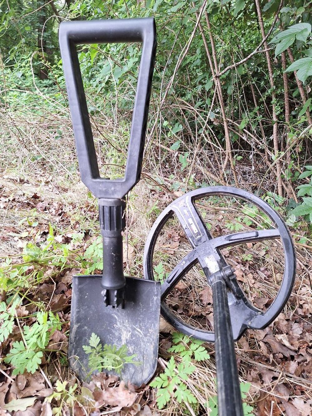 Recherche d'objet
d&eacute;tection 