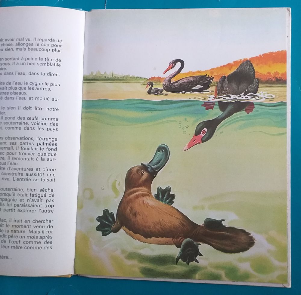 Tony Wolf : contes d'Australie Livres et BD