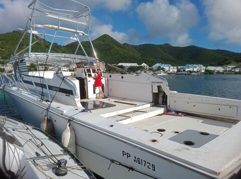 Bateaux &agrave; moteur Vedette - Yacht - Offshore 1990 occasion Saint-Martin 97150