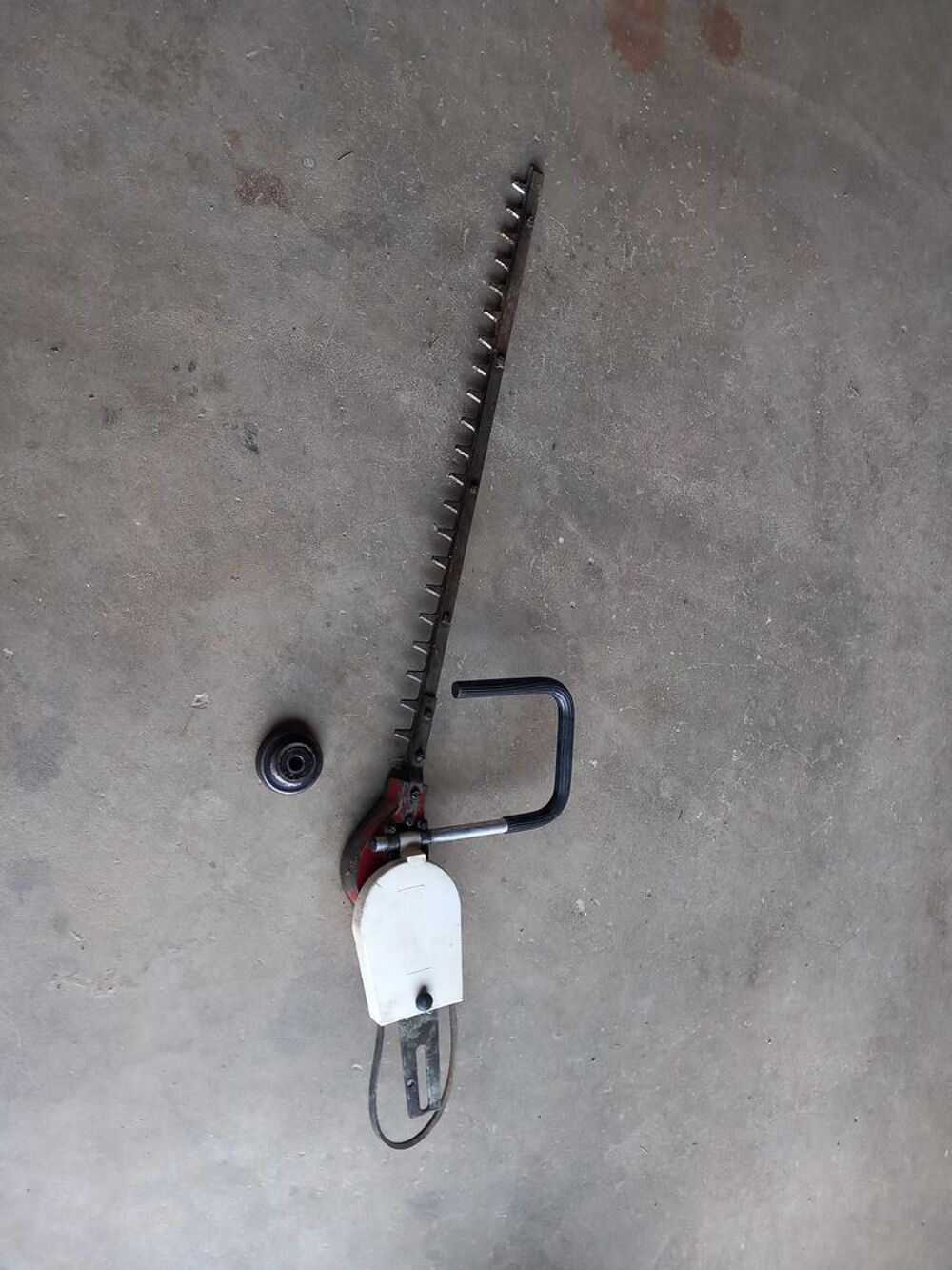 taille haie Bricolage