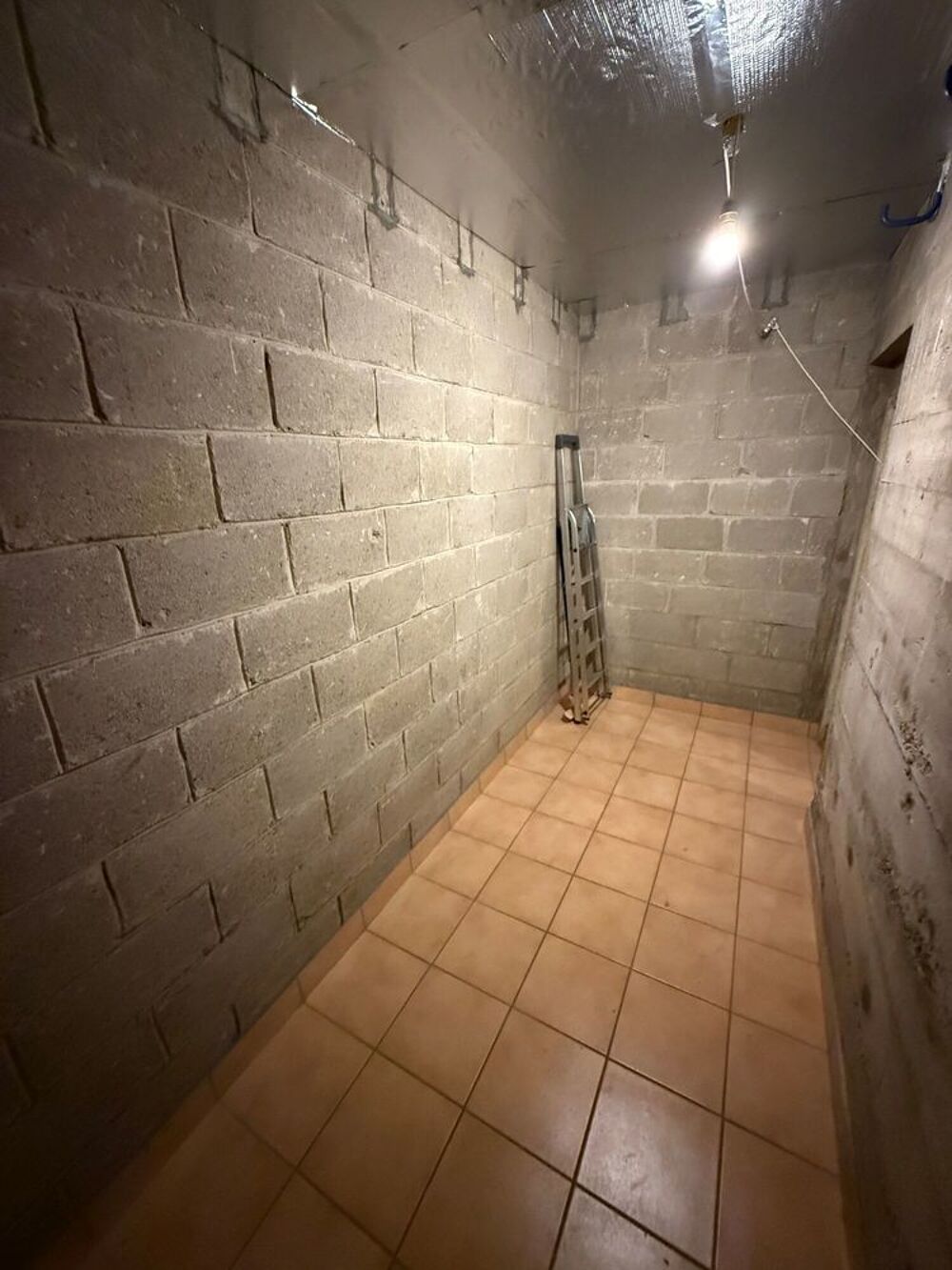 Location Autre CAVE Local de stockage Le chesnay
