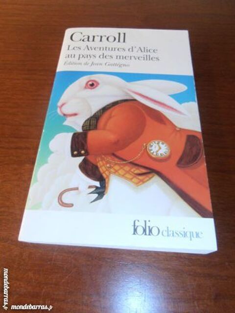 Les aventures d'Alice au pays des merveilles (10) 3 Tours (37)