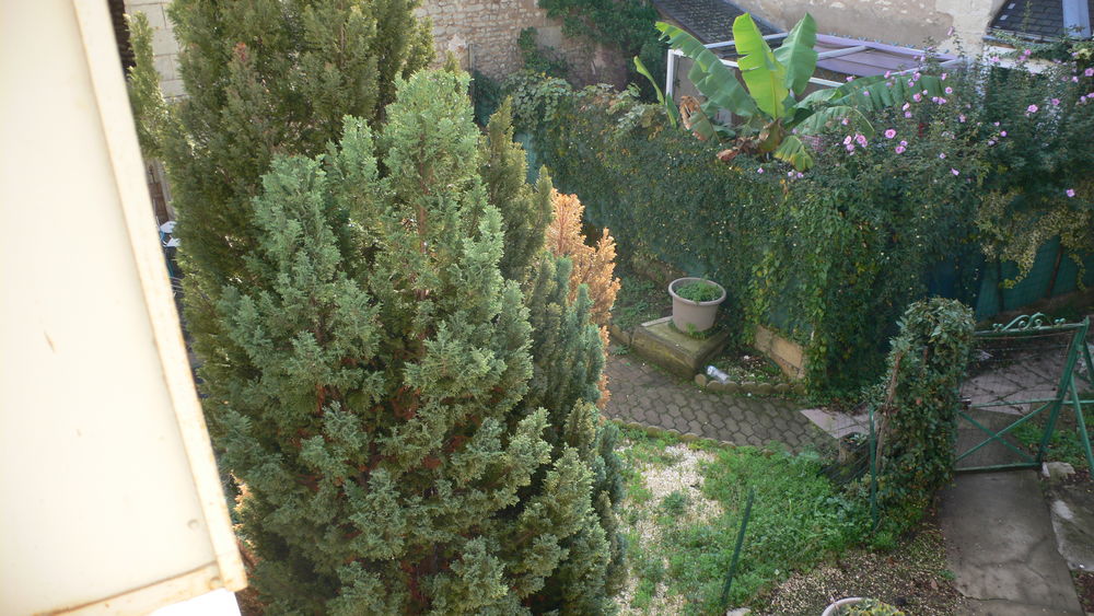 Vente Immeuble Immeuble de rapport, cour int�rieur Ch�tellerault