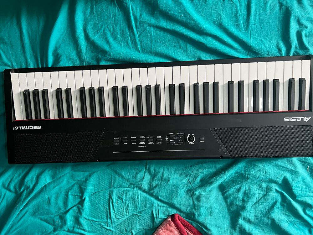 Piano Numerique Alesis Recital 61 Instruments de musique