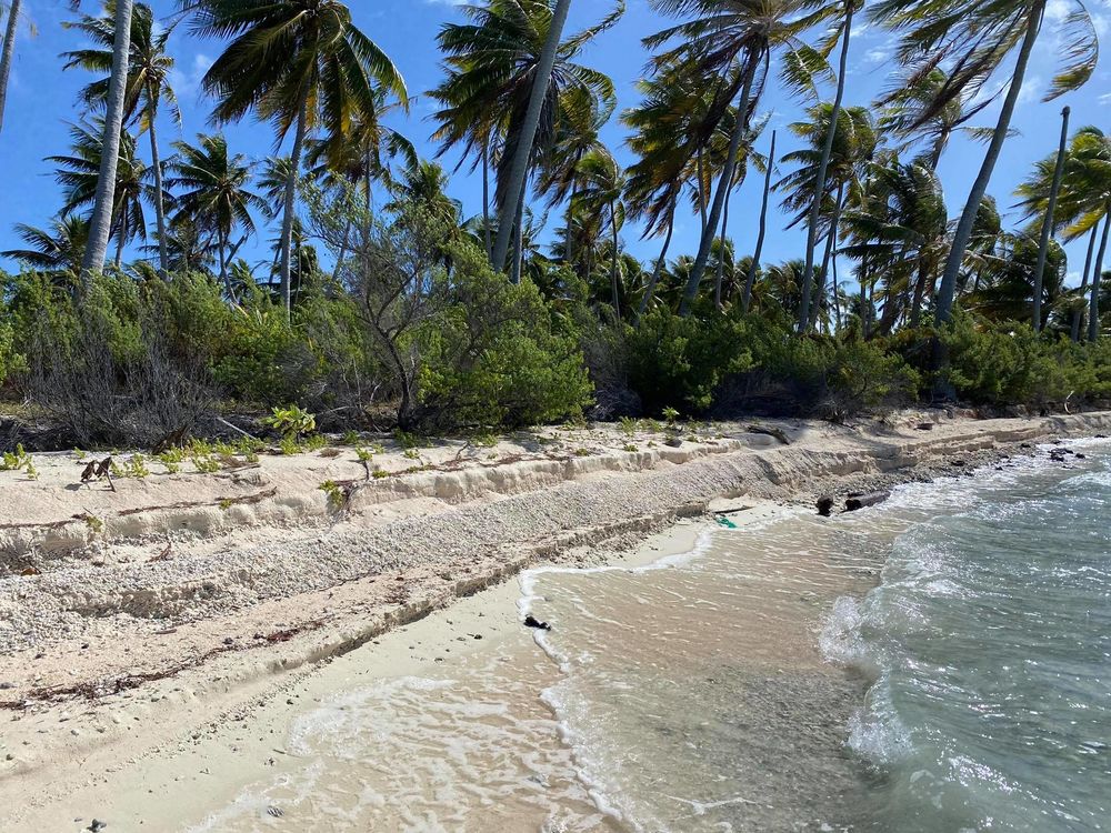 Vente Terrain TAHITI dans les TUAMOTU TERRAIN CONSTRUCTIBLE Polynésie française