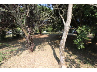  Terrain � vendre 815 m�