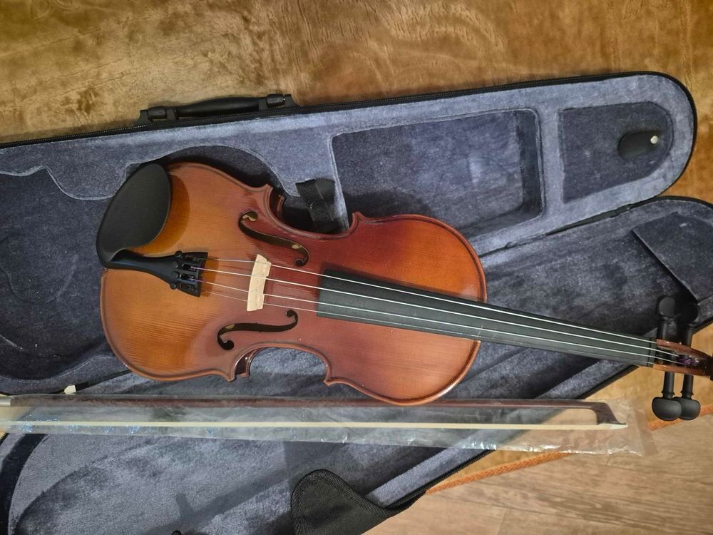 violon Instruments de musique