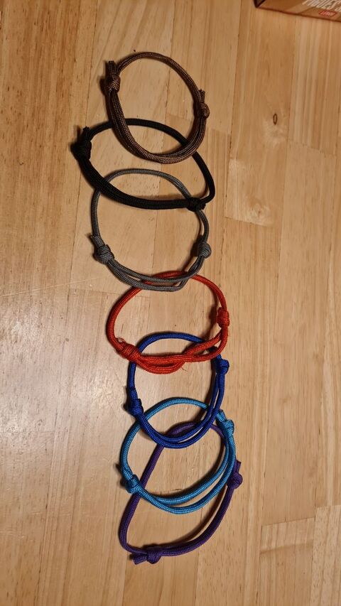 Collier identification chiots 8 44850 Mouzeil