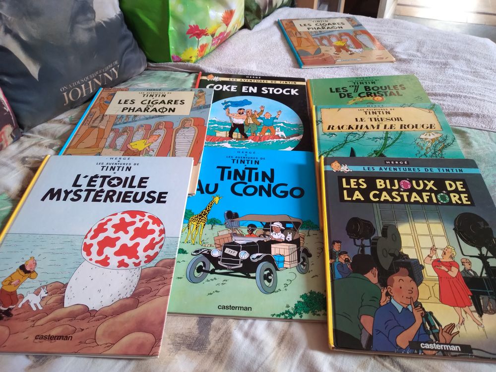7 albums des aventures de tintin 70€ Livres et BD