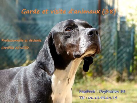Visites d animaux aux domiciles du propritaires 38490 Le passage