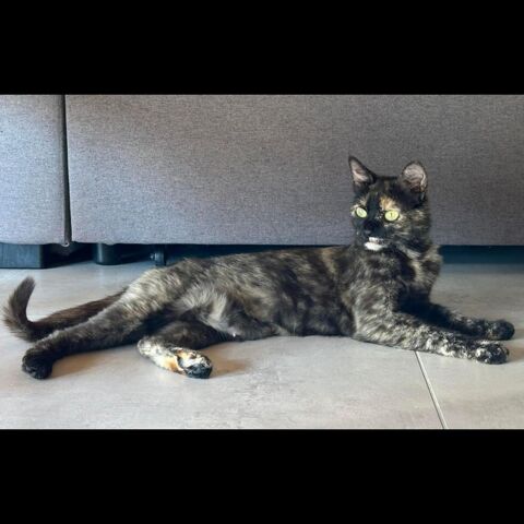 FRIDA 1 07350 Cruas