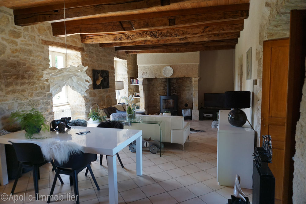 Vente Maison Maison de caractère avec piscine et gîte Ols-et-rinhodes