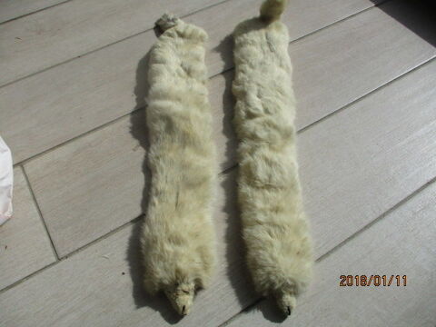 Deux fourrures anciennes 40 Castres (81)
