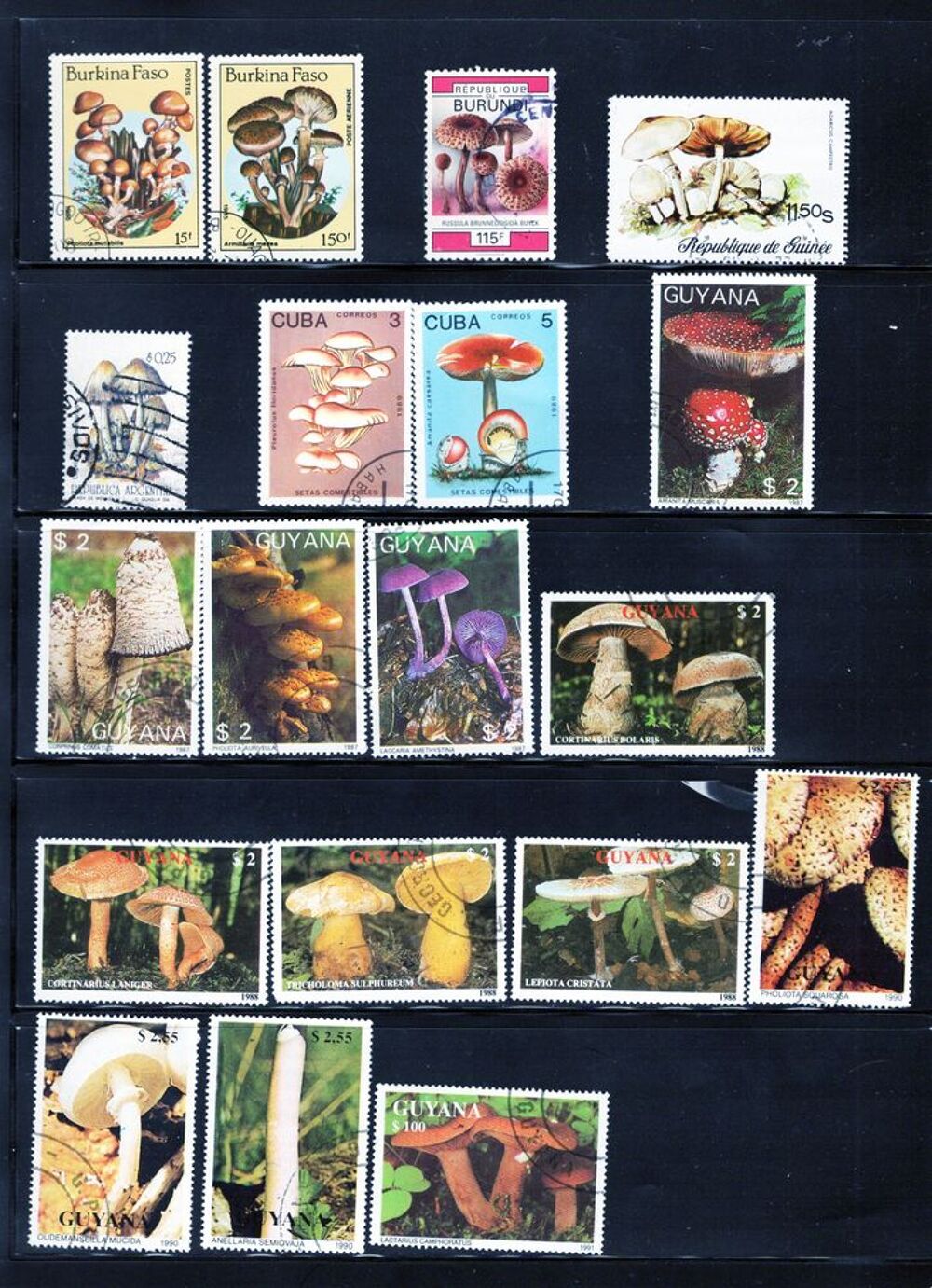 lot de 55 timbres du MONDE avec des CHAMPIGNONS 