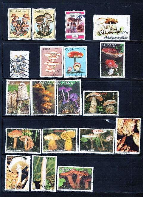 lot de 55 timbres du MONDE avec des CHAMPIGNONS 3 Les Églisottes-et-Chalaures (33)