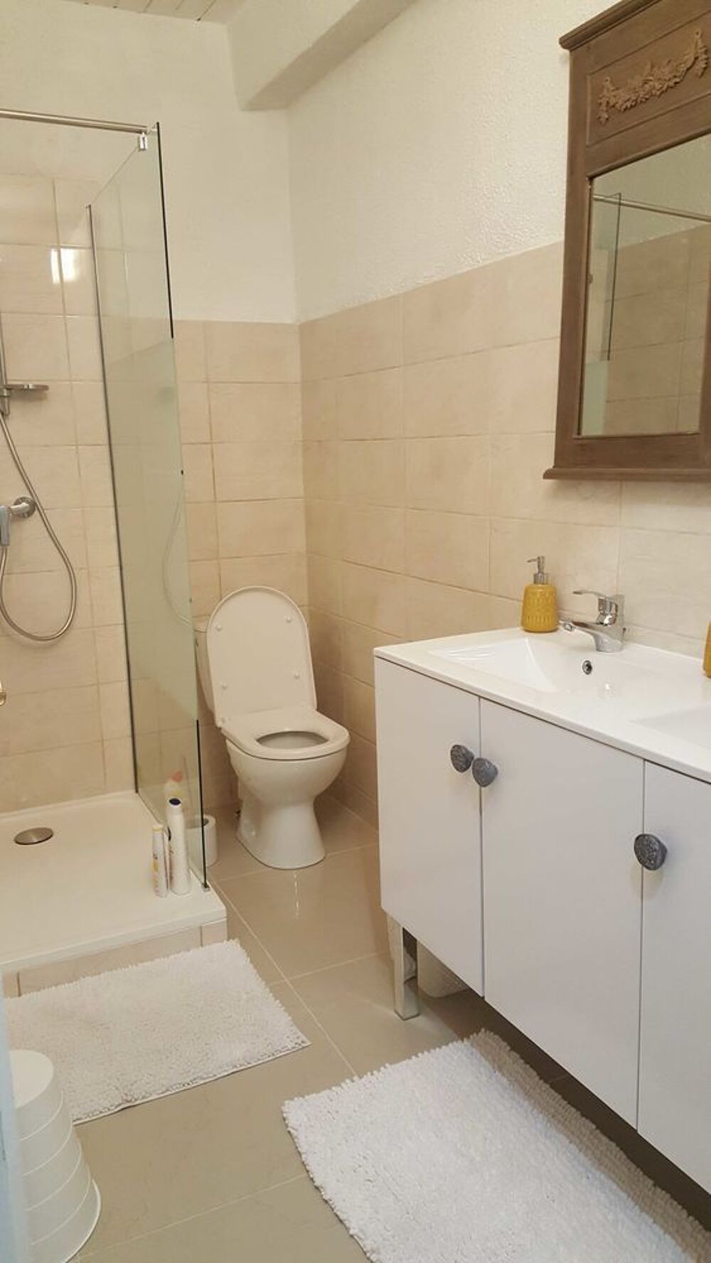 Vente Immeuble IMMEUBLE ENTIER A LAVELANET CENTRE-VILLE A 60Km de TOULOUSE-NEGOCIABLE Toulouse