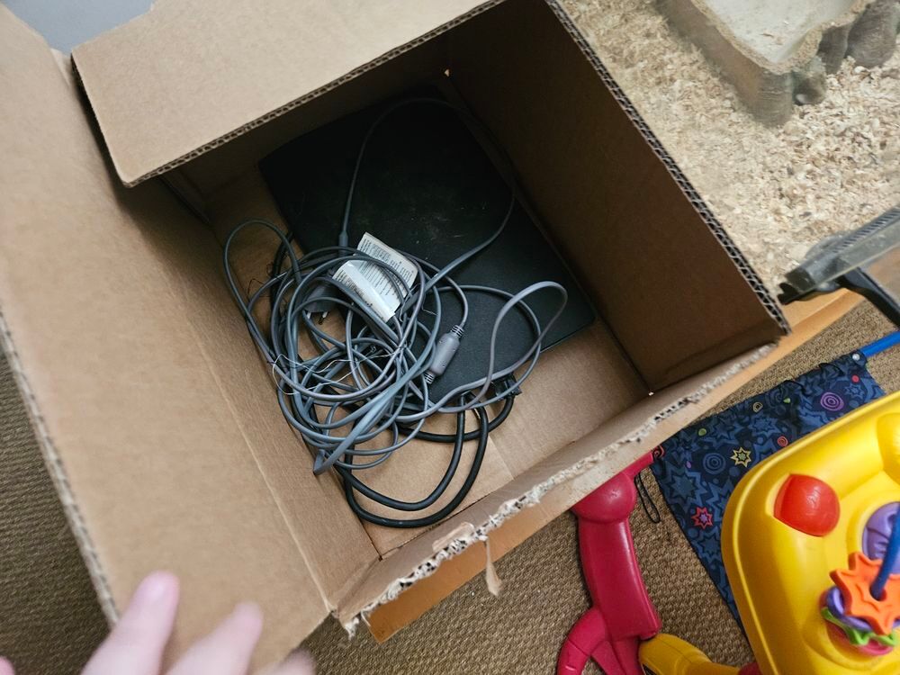 Terrarium (x2) et un occupant (boa) 