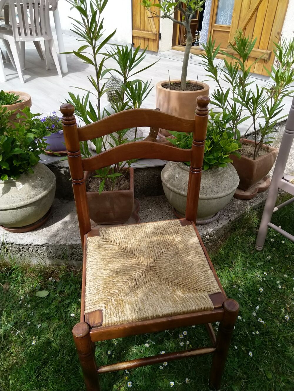 Chaises en bois paill&eacute;es
Meubles