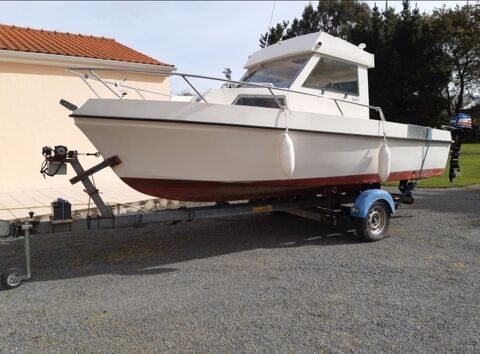 Bateaux à moteur Pêche-promenade 1992 occasion La Roche-sur-Yon 85000