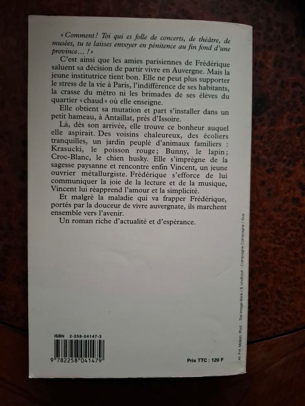 La Ma&icirc;tresse au piquet - Jean Anglade - 1996 - bon &eacute;tat Livres et BD