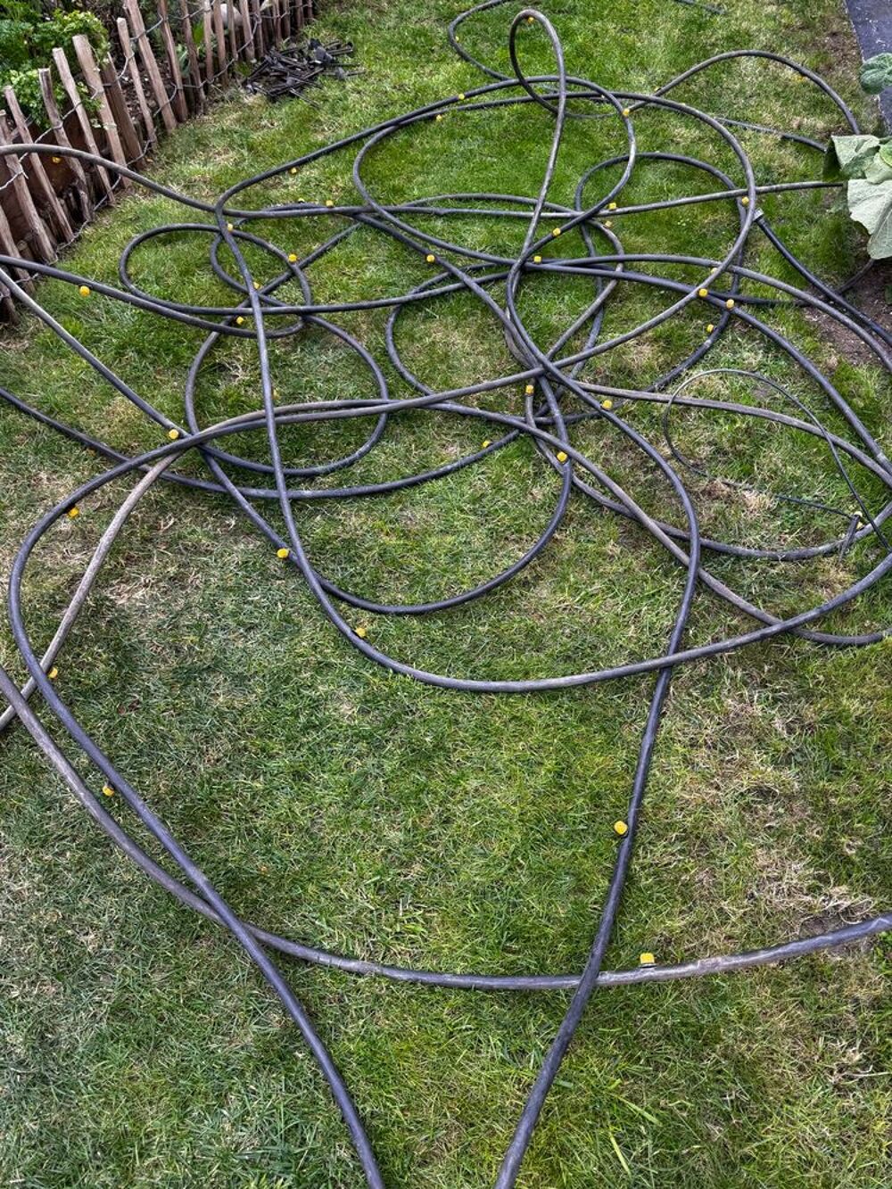Tuyau d'arrosage goutte &agrave; goutte de 20 m&egrave;tres Jardin