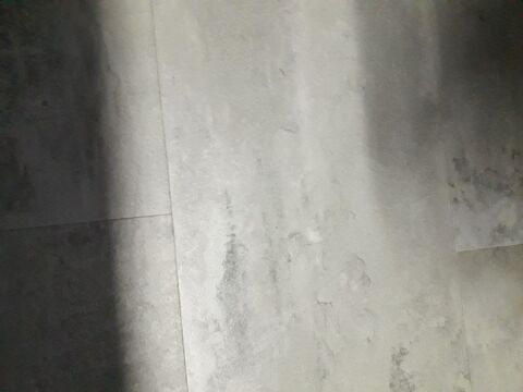 dalles GERFLOR pvc faire  offre 0 Saint-Dizier (52)