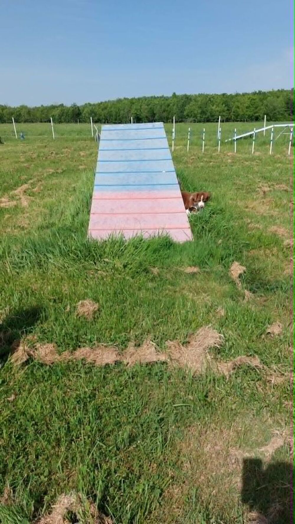   Palissade WT Métal 