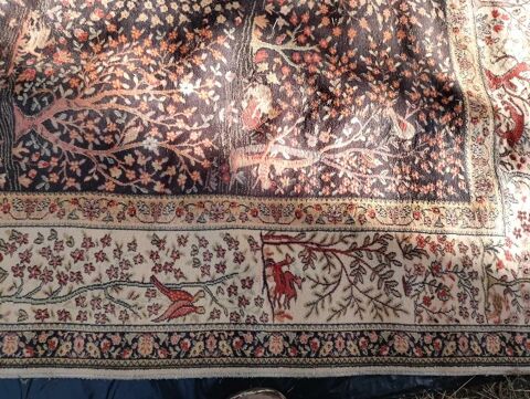 Tapis d'Orient ancien Bussière-Galant (87)