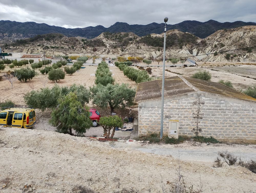 Vente Terrain Différentes options Orihuela, alicante, españa (Espagne)