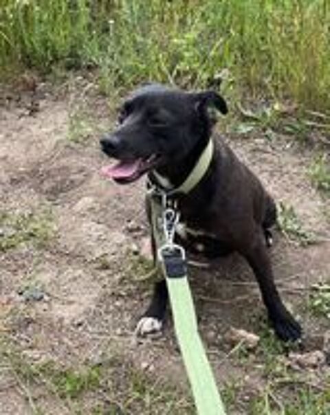   LOLA SE TROUVE DANS UN REFUGE EN UKRAINE 