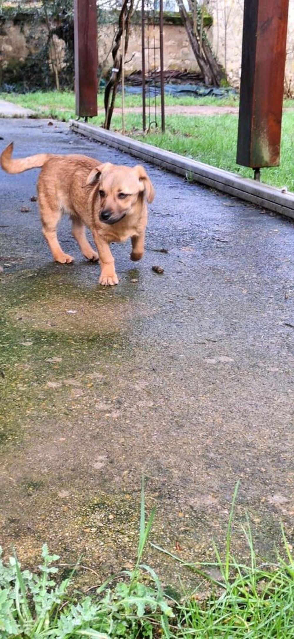   Maidy � l'adoption  