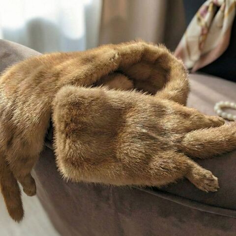 Somptueuse Etole Vintage Martre / Zibeline - Couleur Miel Do 220 Carbonne (31)