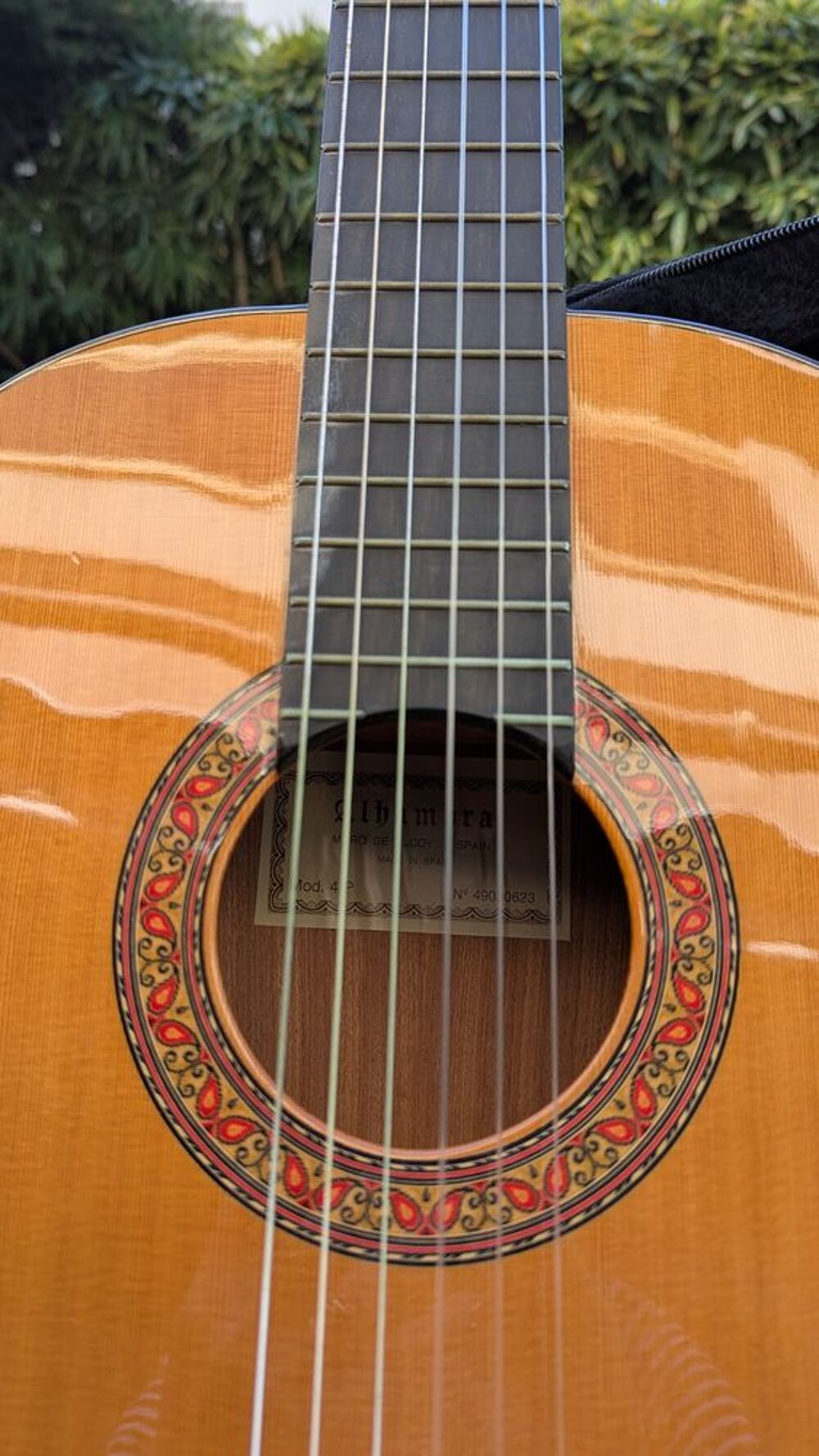 Guitare acoustique Alhambra dans son coffre de transport Instruments de musique