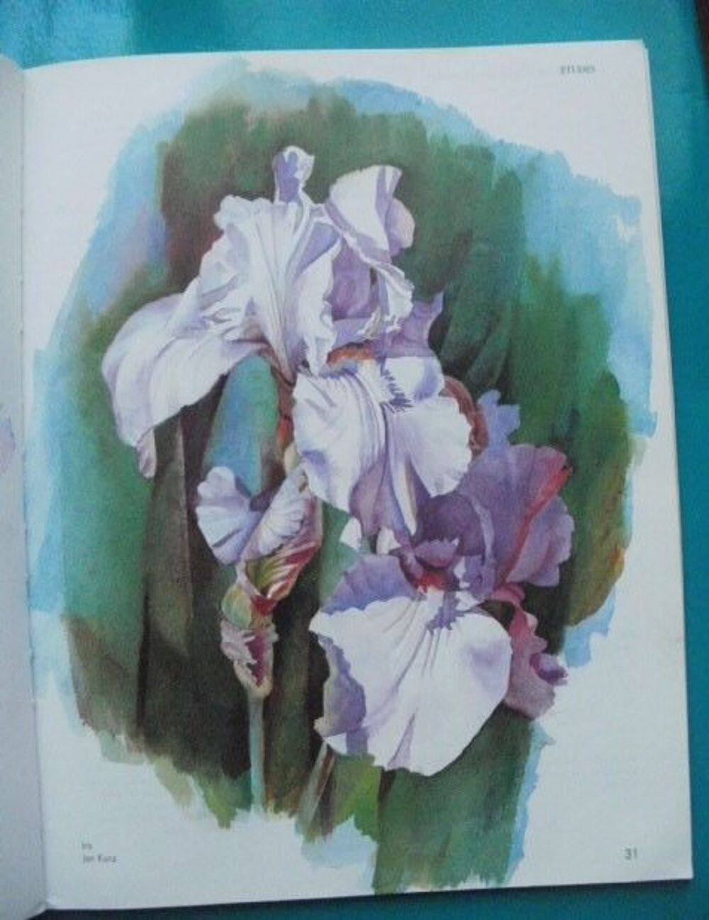 Rachel RUBIN WOLF : Fleurs &agrave; l'aquarelle Livres et BD