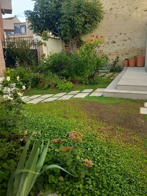 Je peux accueillir votre tortue terrestre. 0 93100 Montreuil