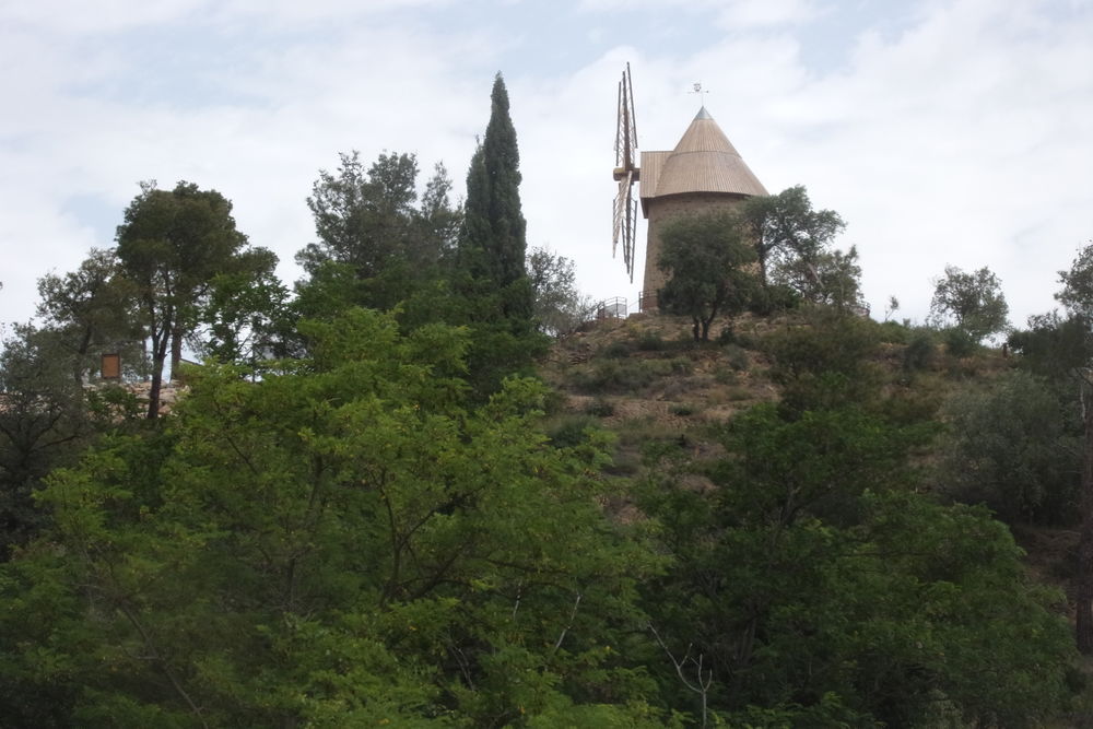   GÎTE DOMAINE  PLA DE LIERE Languedoc-Roussillon, Maury (66460)