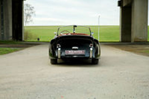 XK 120 OTS 1952 occasion 59310 Auchy-lez-Orchies