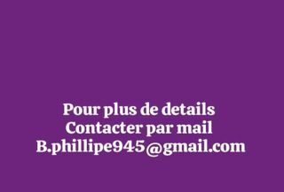  Appartement à louer 2 pièces 32 m²