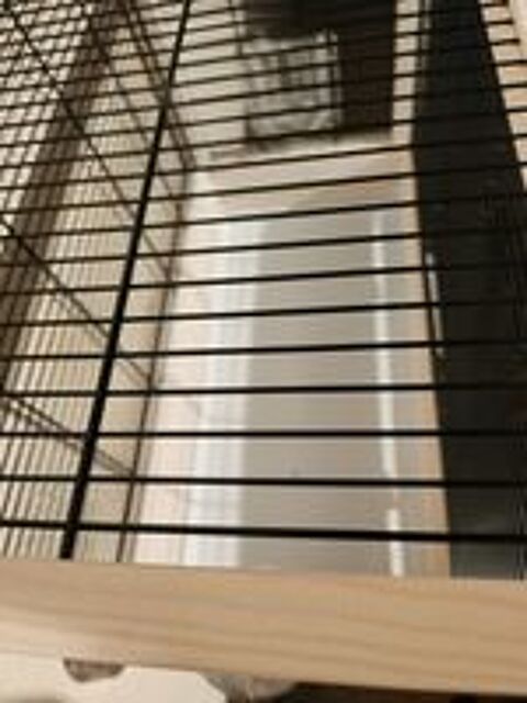   One Cage 