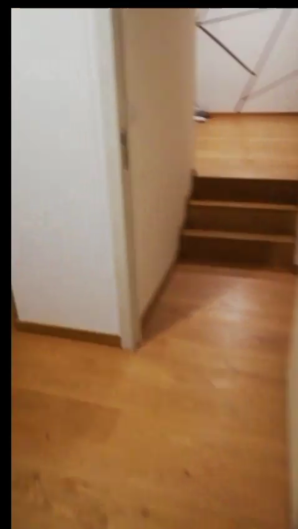 Location Appartement T2 rénové calme et lumineux (proche place de la République) Perpignan