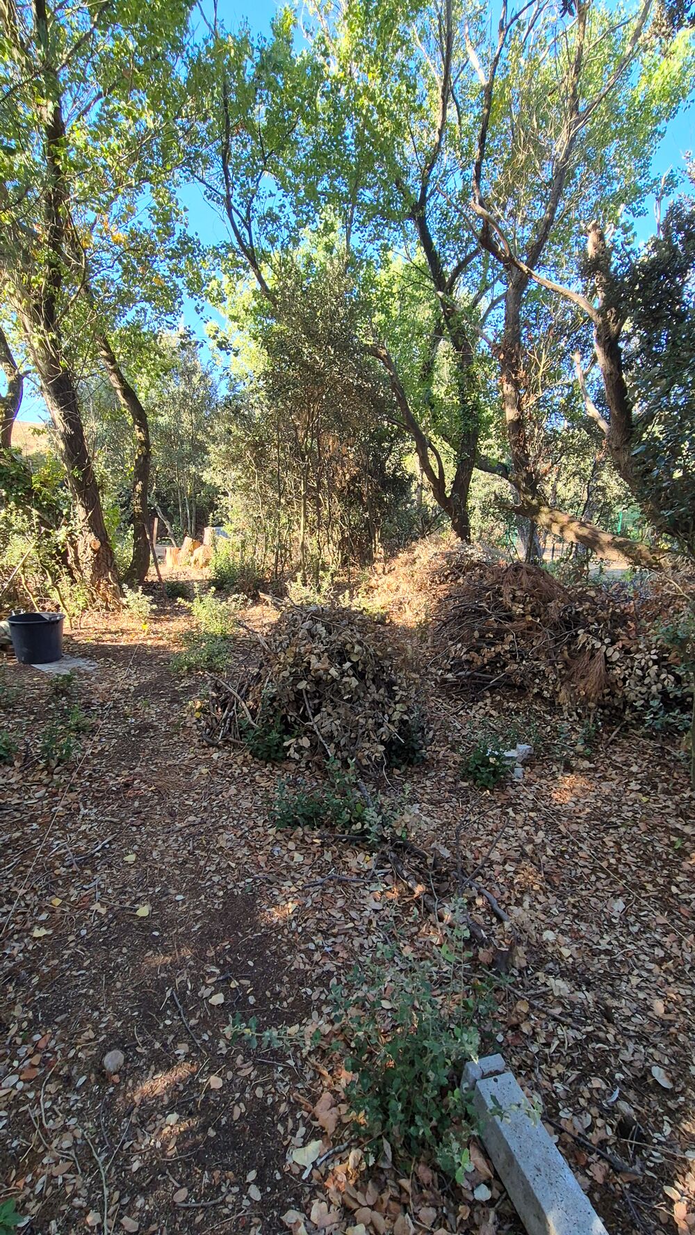 Vente Terrain Terrain constructible bord de mer La tranche-sur-mer